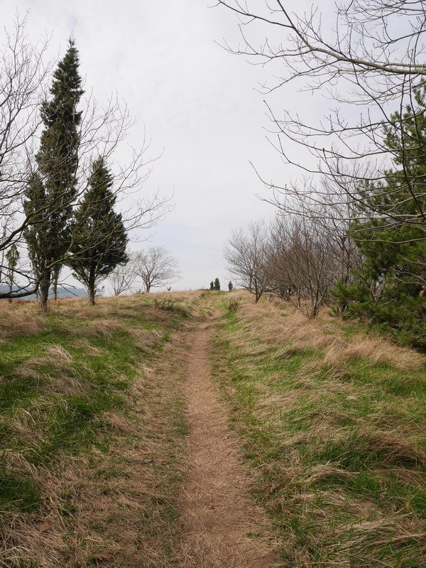 Ekialdeko bizkarreko bidea