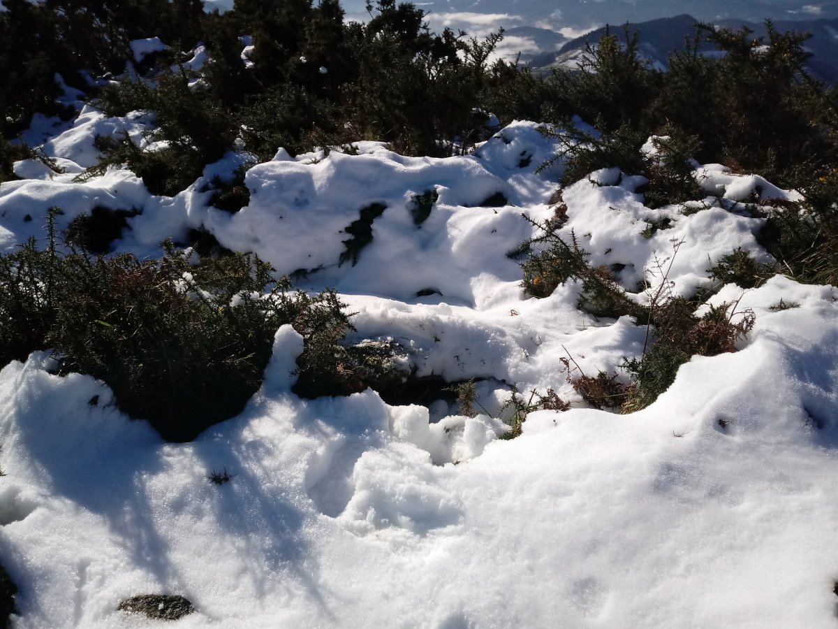 Iruiya trikuharria 2