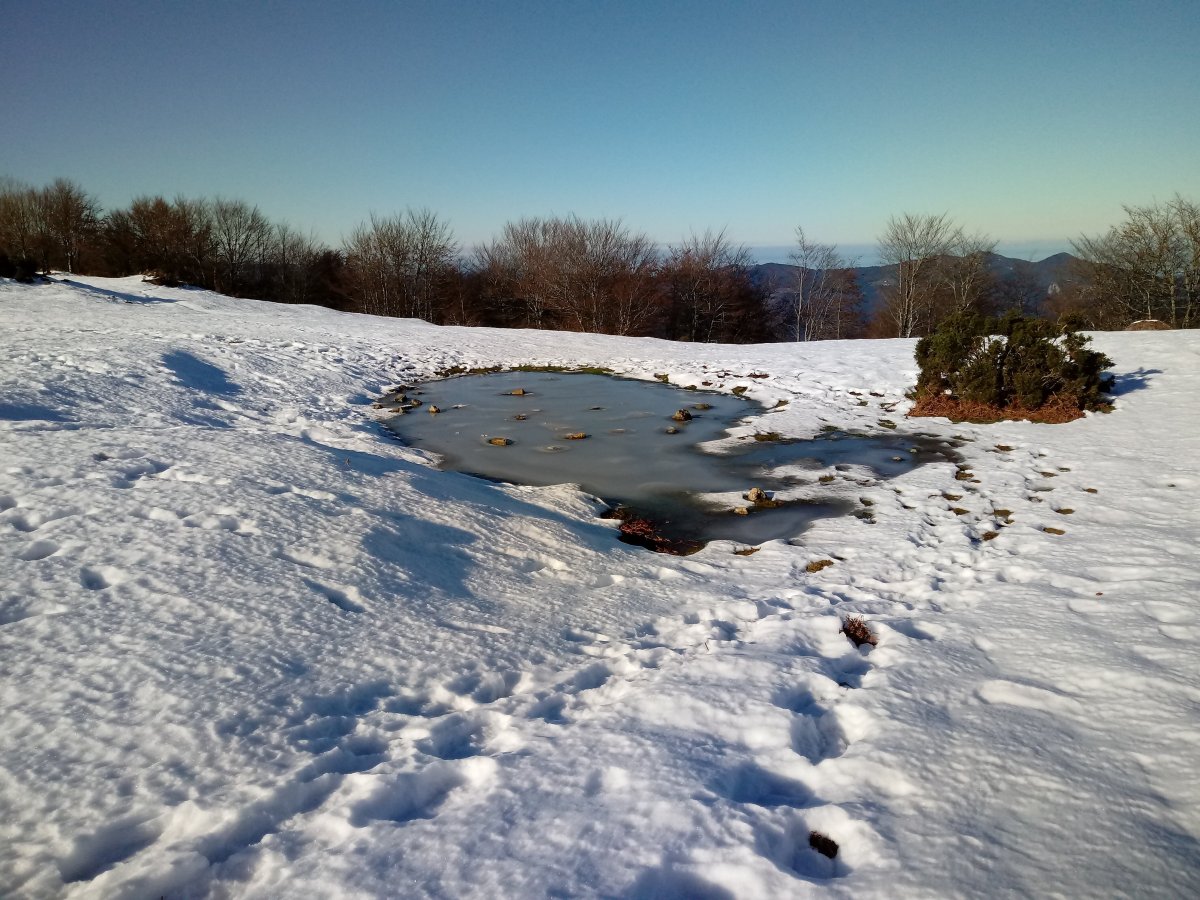 Iruiako urputzua izoztua