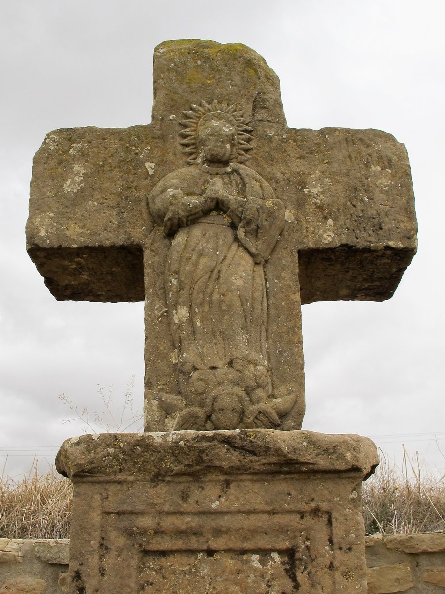 Ibarrea kruzeroa, Arroitz