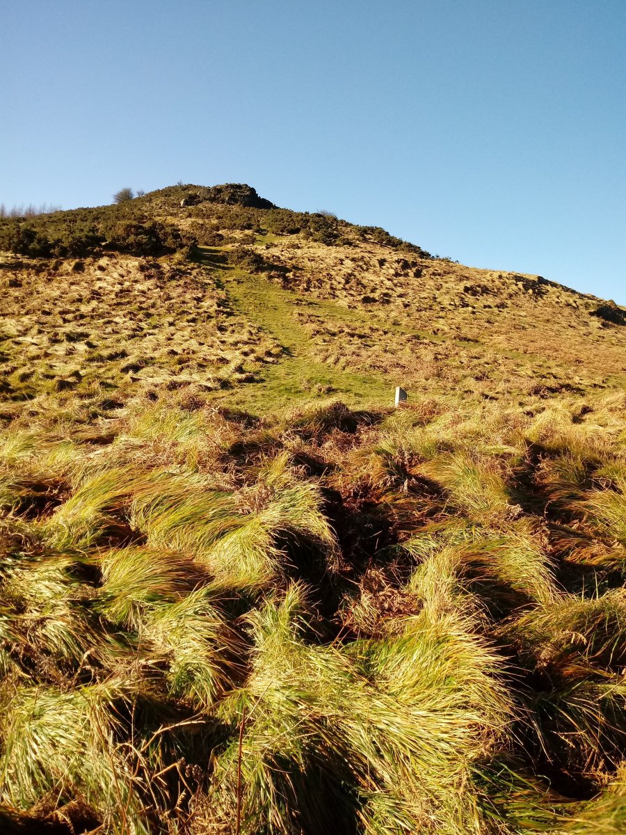 Olaburu trikuharria 3