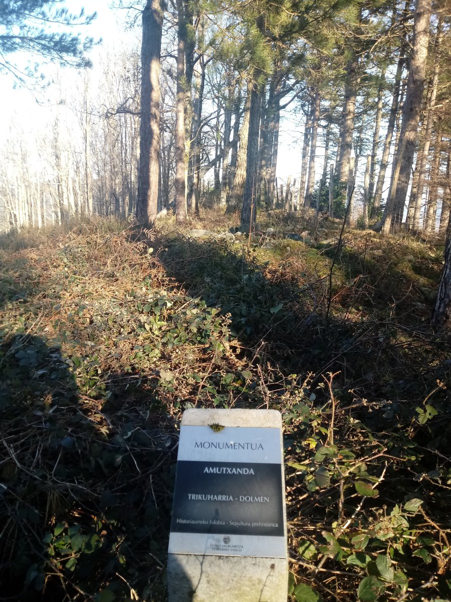 Amutxanda trikuharria (2017)