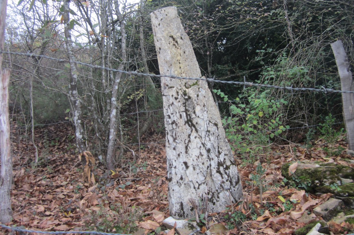 Monolito Zidrain (Octubre 2017)