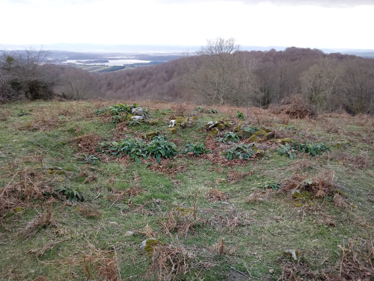 Motxotegi II tumuloa 4