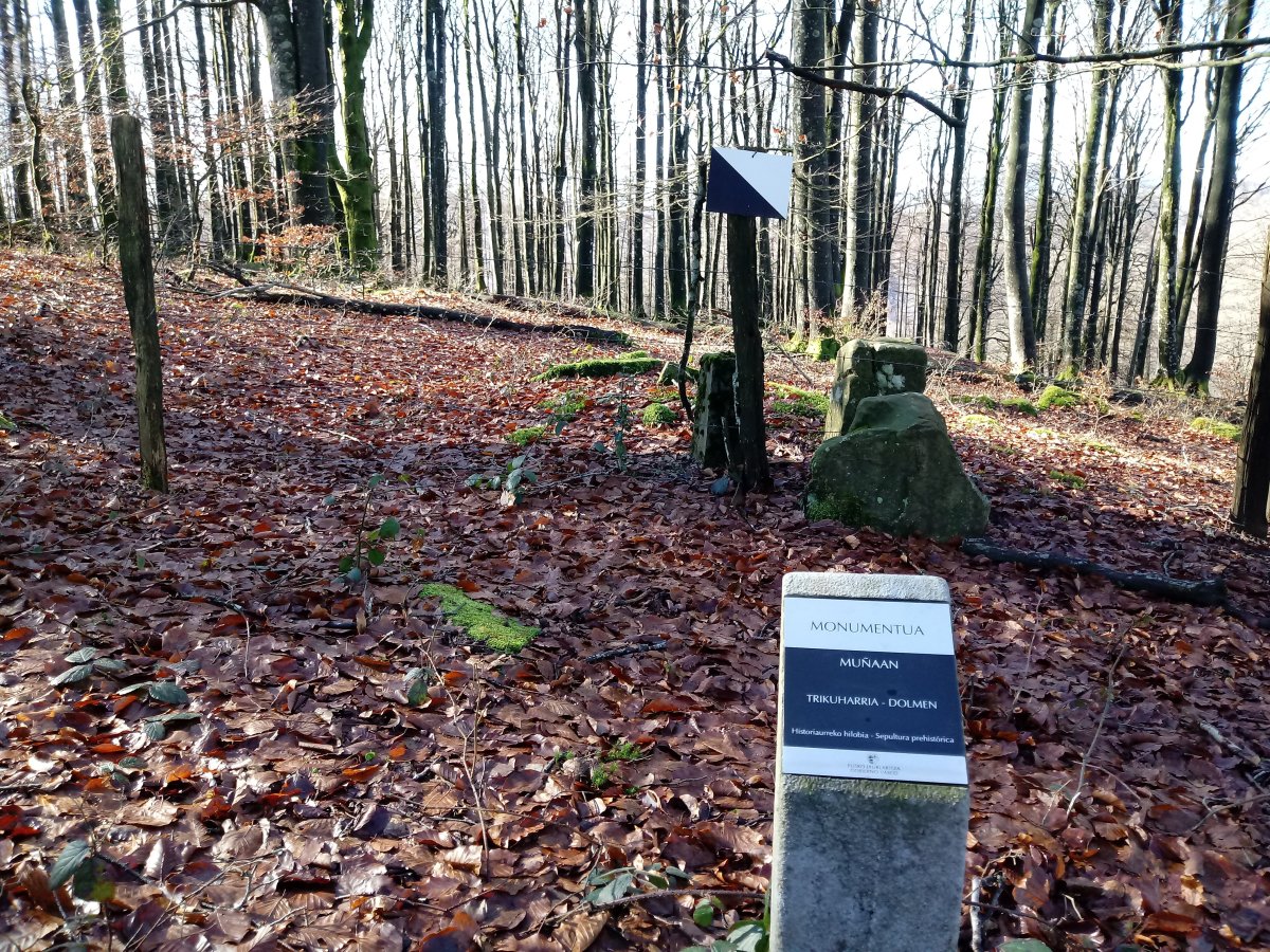 Muñaan trikuharria (2018)