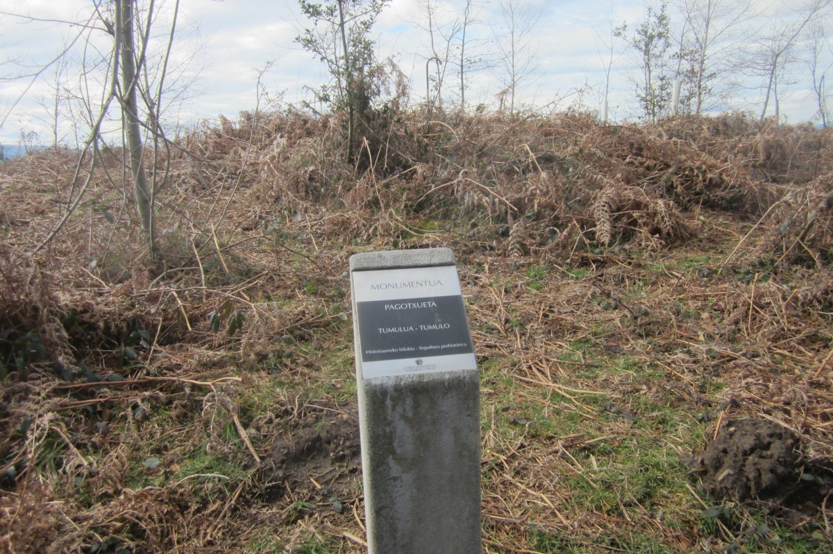 Túmulo Pagotxueta 1  (Febrero  2018)