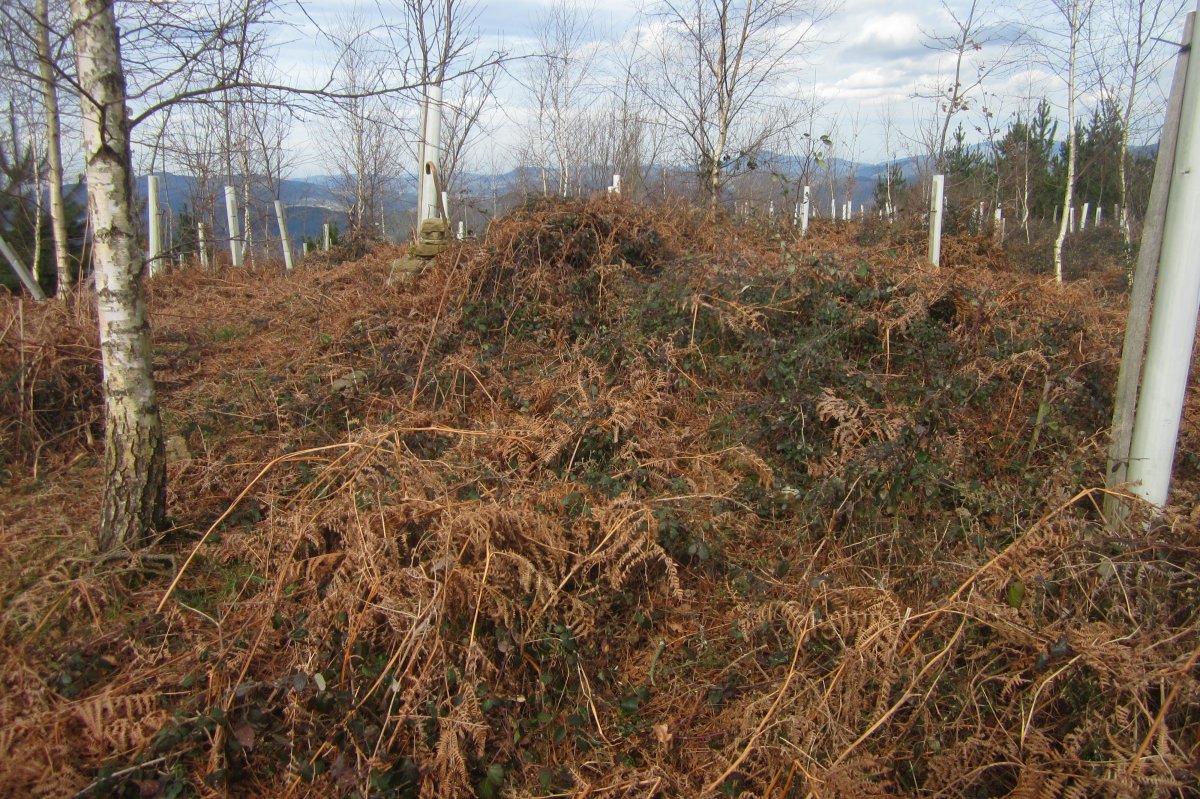 Túmulo Pagotxueta 2 (Febrero 2018)