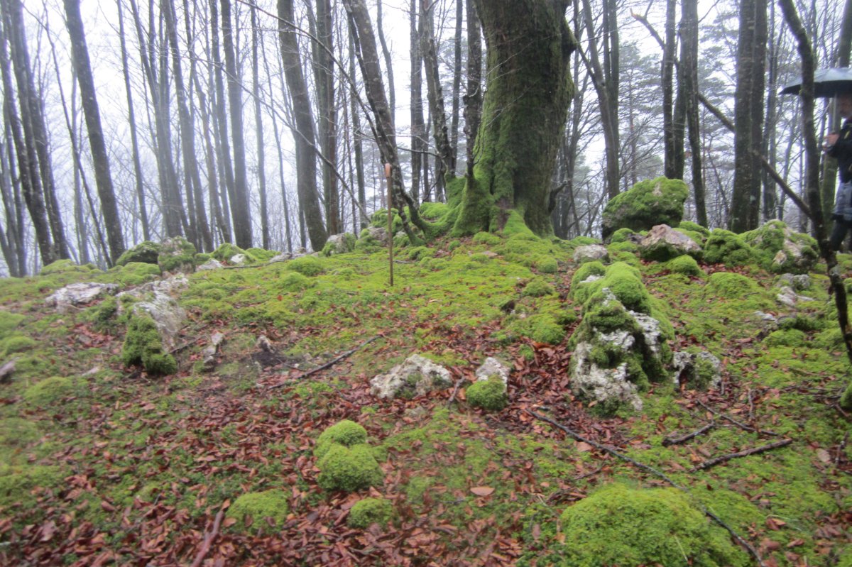 Cromlech Uzku (Marzo 2018)