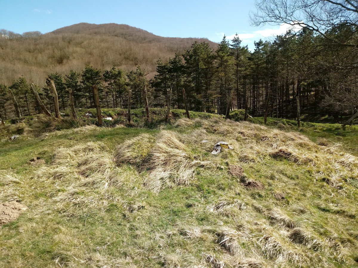 Marikutx II tumuloa 3