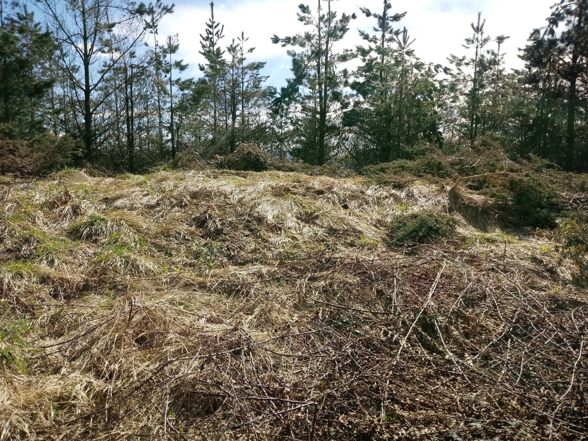 Marikutx I tumuloa 2