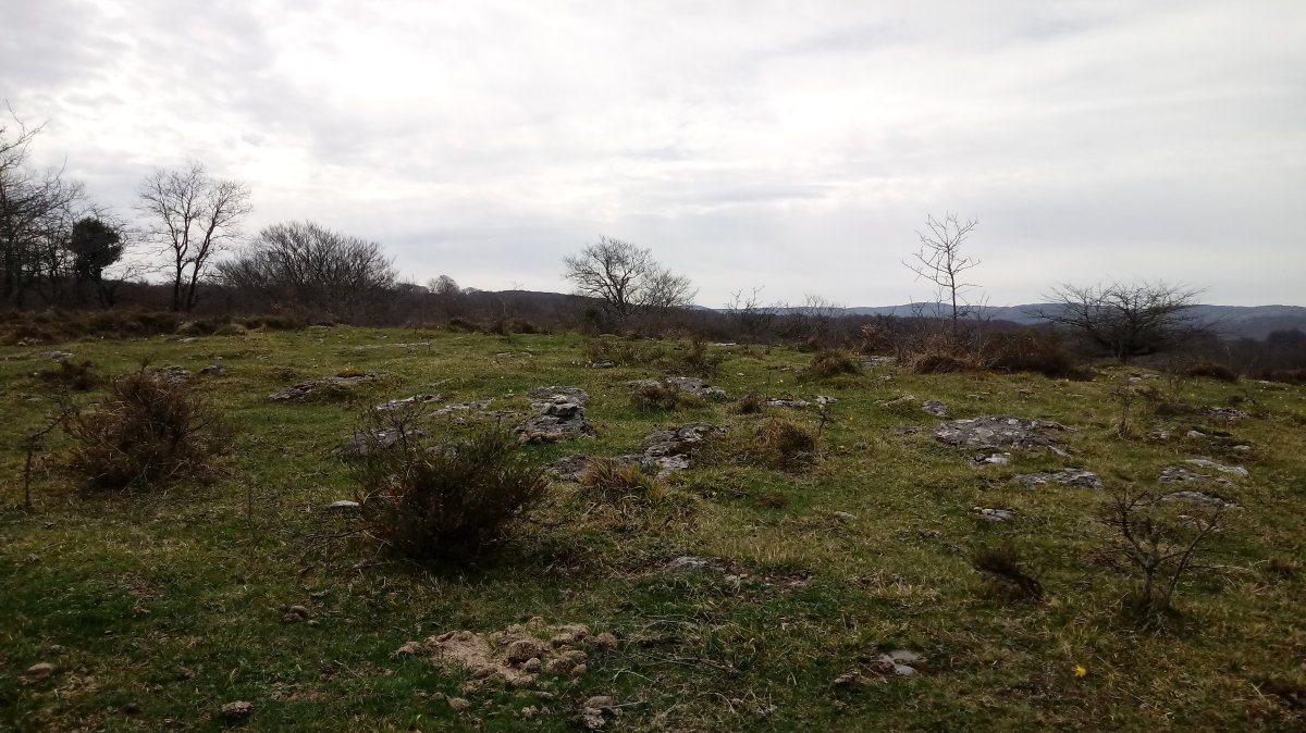 Larraluzea gaina (811m)