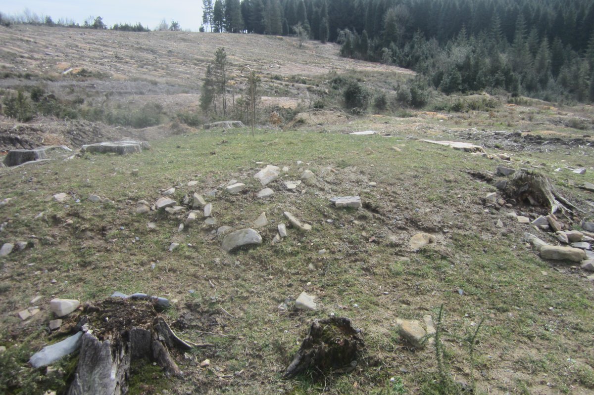 Dólmen Otsobaso (Abril 2018)