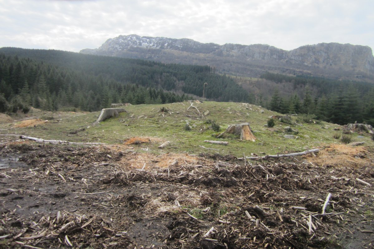 Dólmen Otsobaso (Abril 2018)