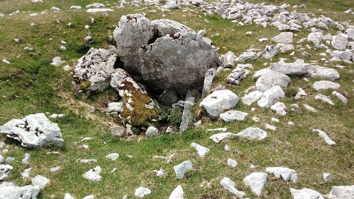 Artzanburu Trikuharria (2018)