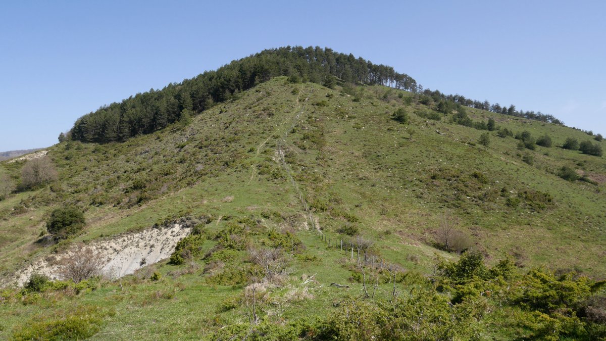 Izketa, Hegoaldeko muinotik