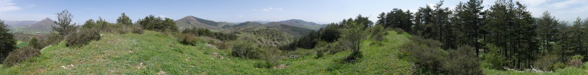 Mendi gaineko panoramika zabala