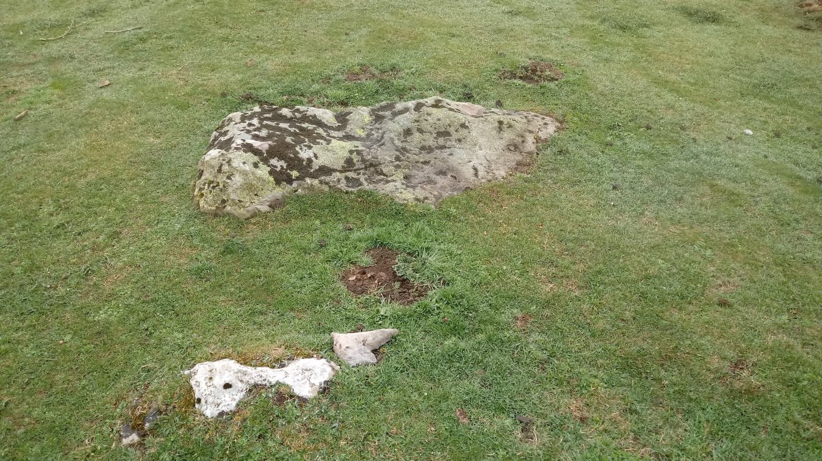 Elorrola zutarria (2018)