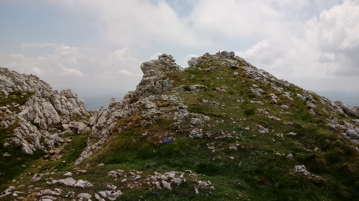 Tontorraundi (1484m) tontorra