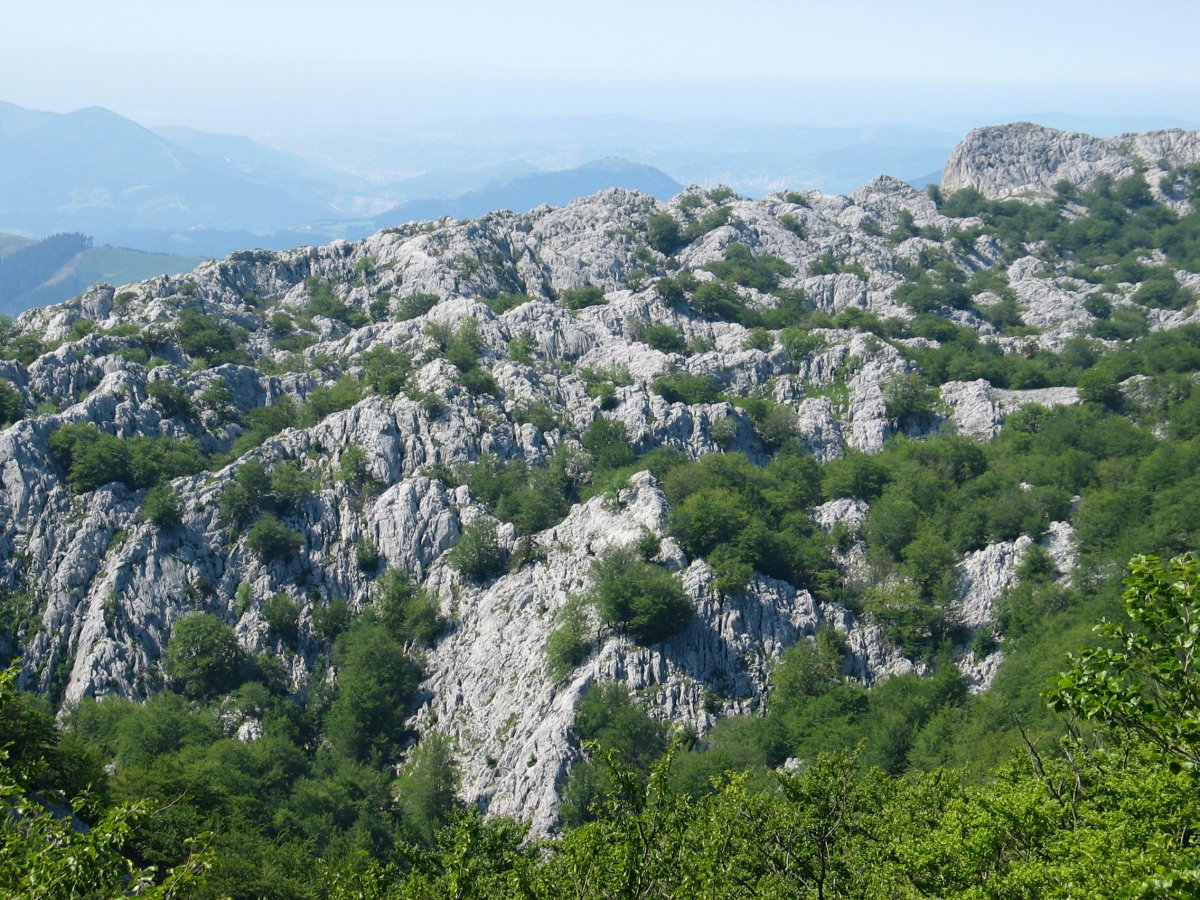 Betondegi inguruak, Ian