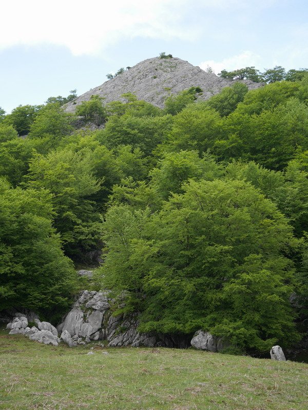 Altipitatx Itxingotitik ikusita