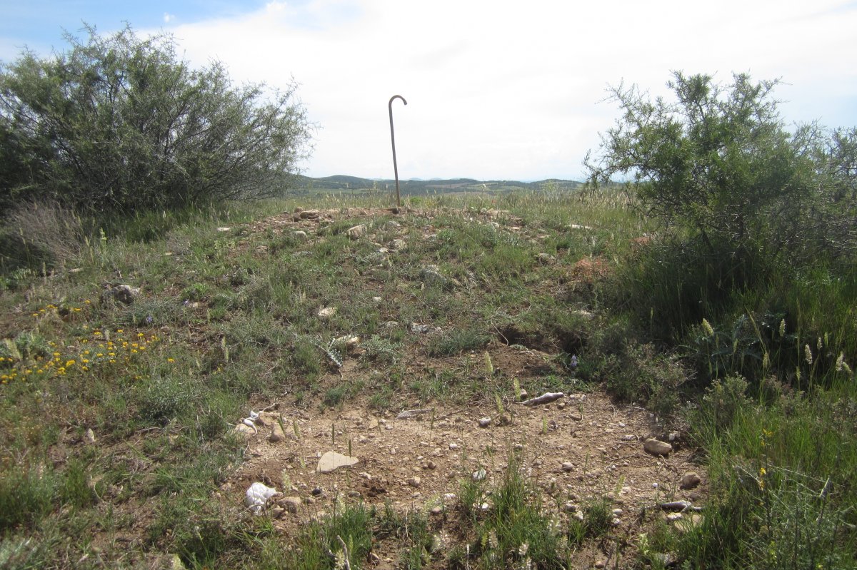 Túmulo Genzelaia nº 2  excavado (Junio 2018)