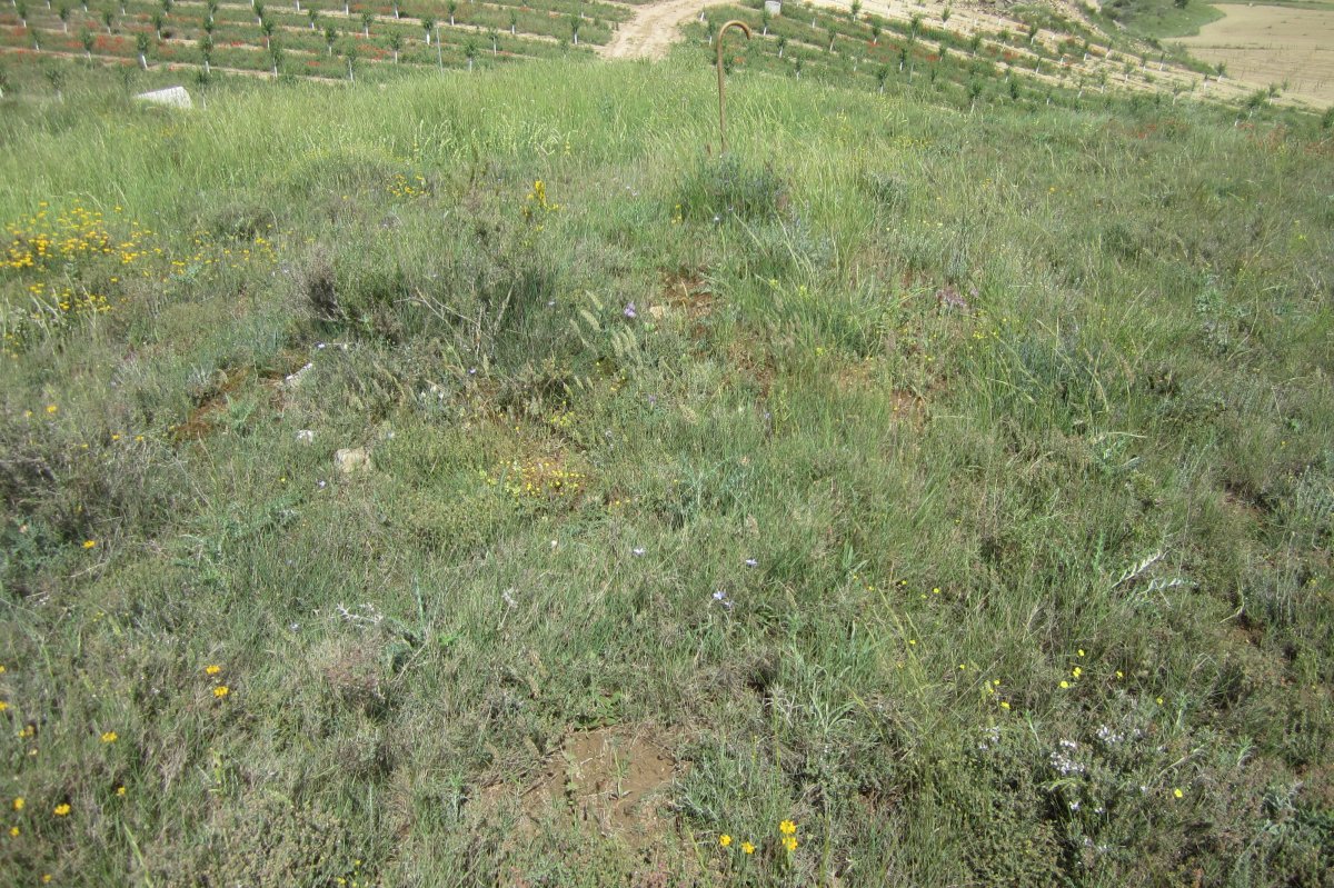 Túmulo Genzelaia nº 1 (Junio 2018)