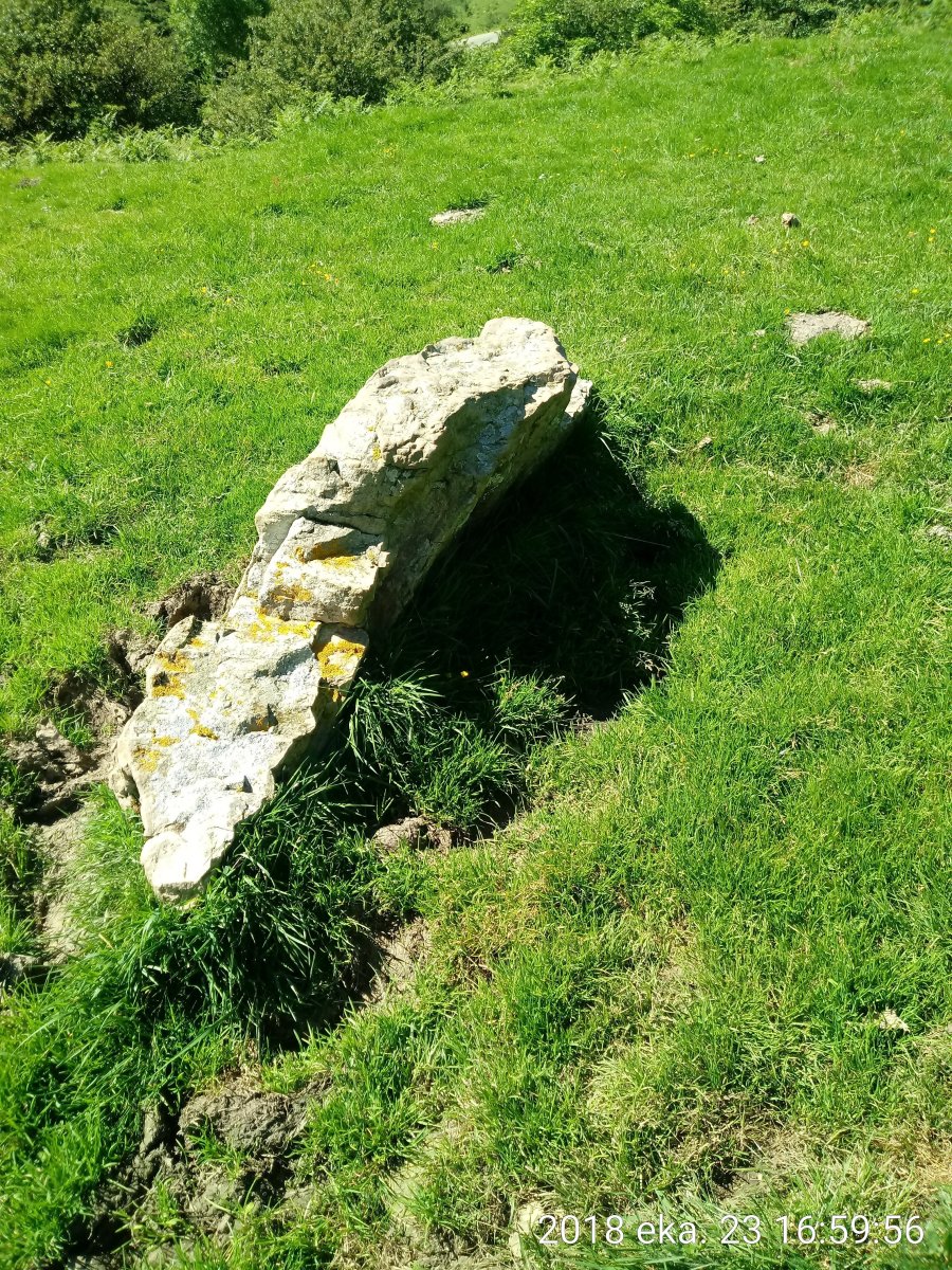 Zubimearreko Erreka trikuharria (2018)