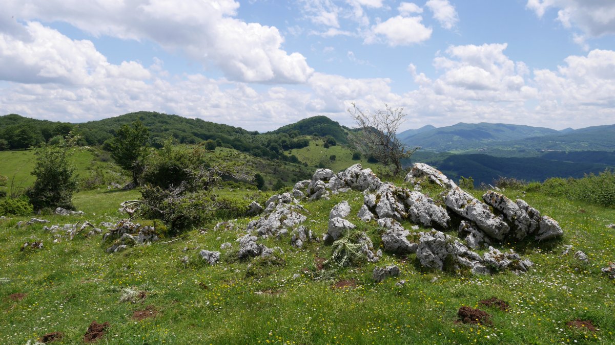 Akordategaña tontorra