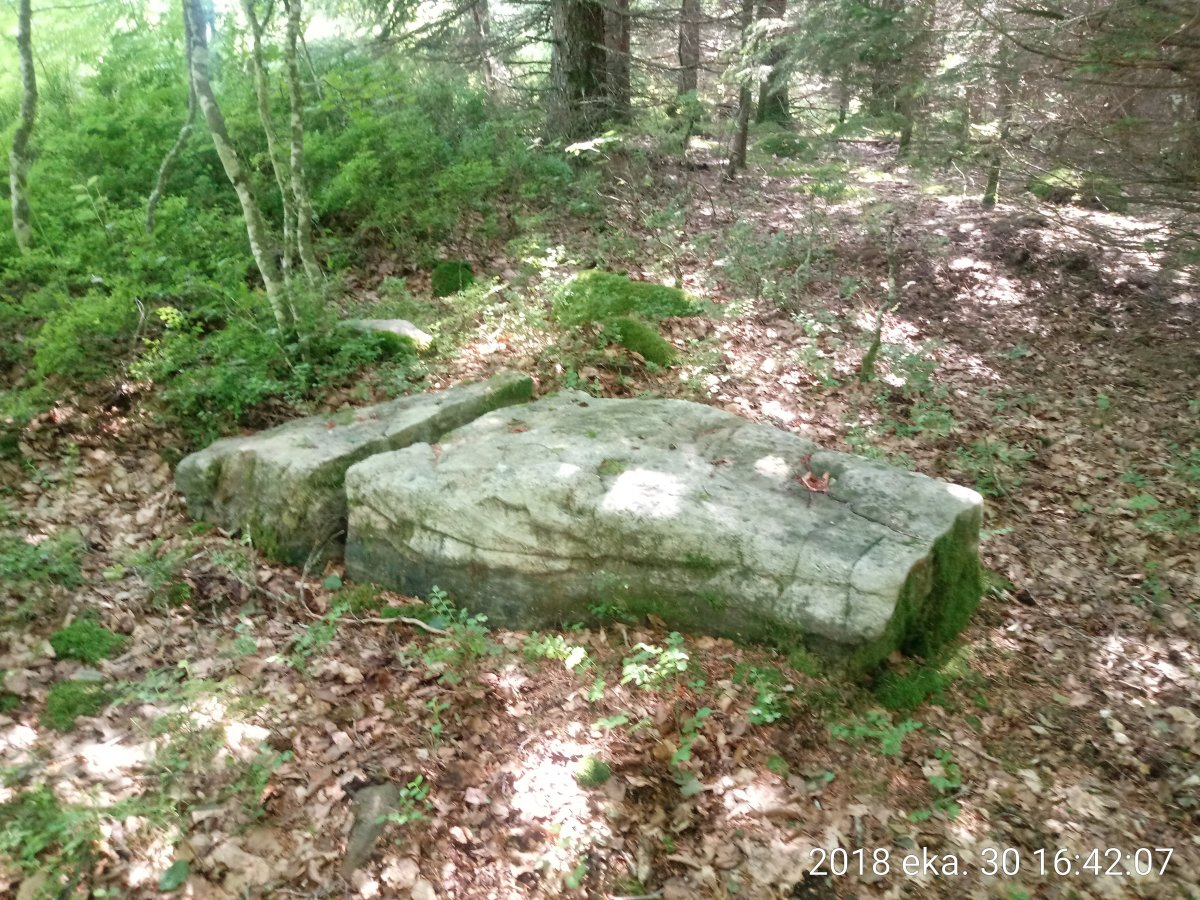 Irazteko Larrea zutarria (2018)