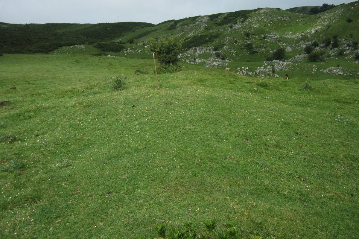 Fondo de Cabaña Etzantza  (Julio 2018)