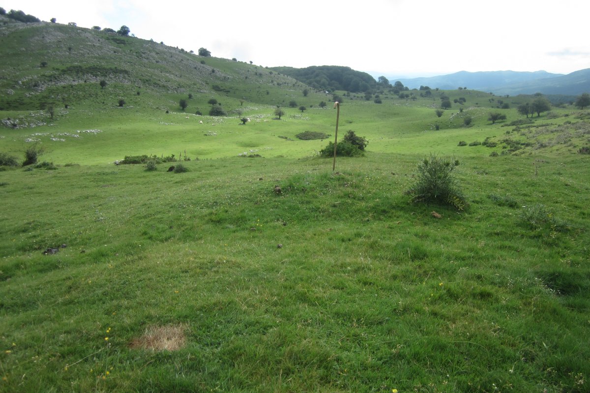 Fondo de Cabaña Etzantza  (Julio 2018)