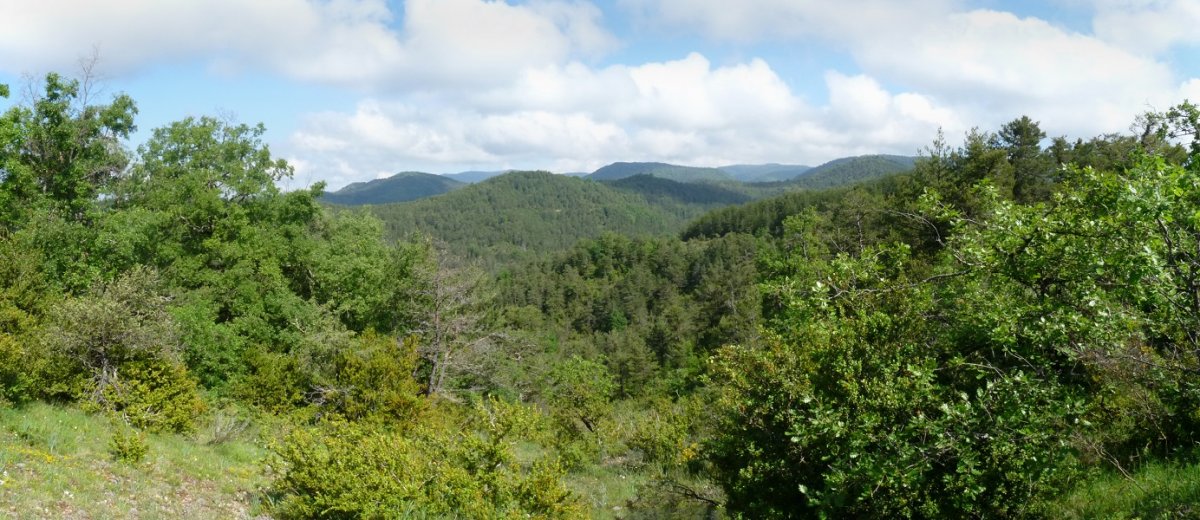 Ikuspegi mugatuak gailurretik