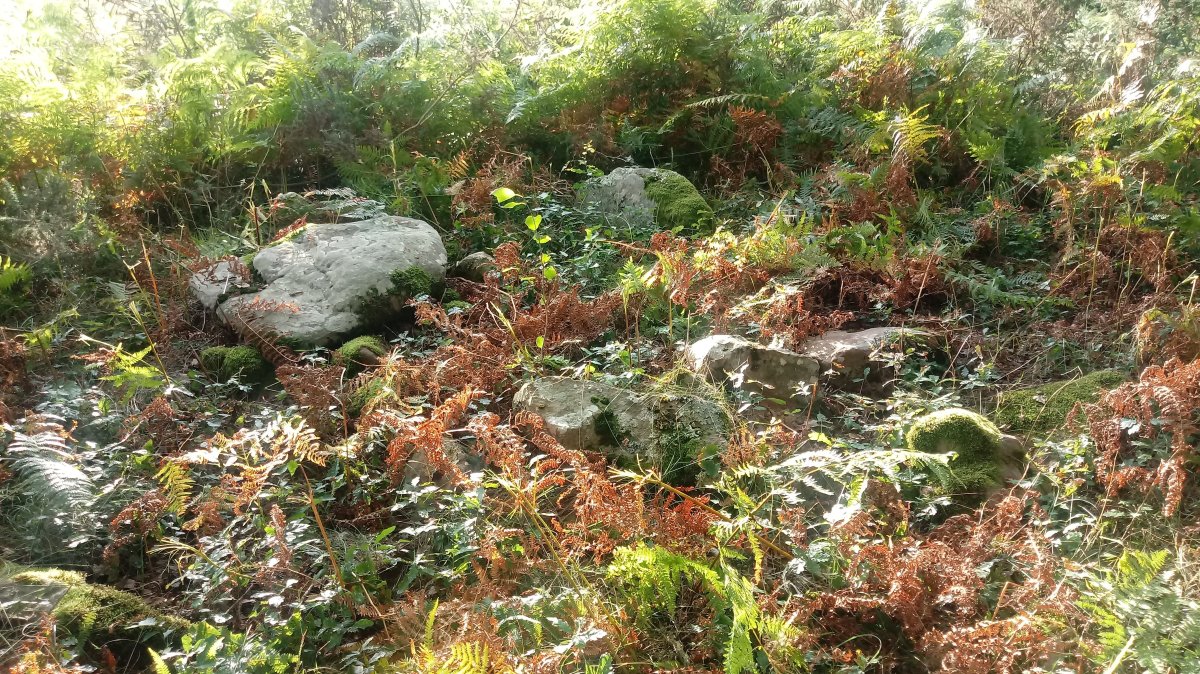 Epeintzako Kaskua trikuharria 2