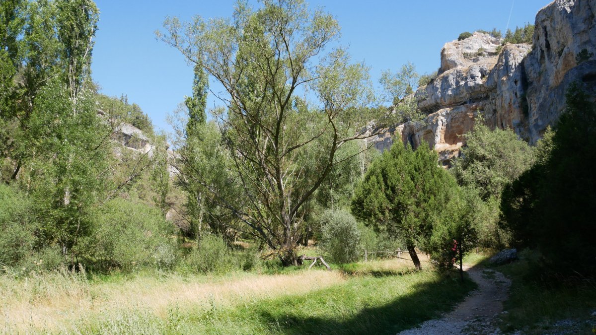 Lobos ibaiaren arroila