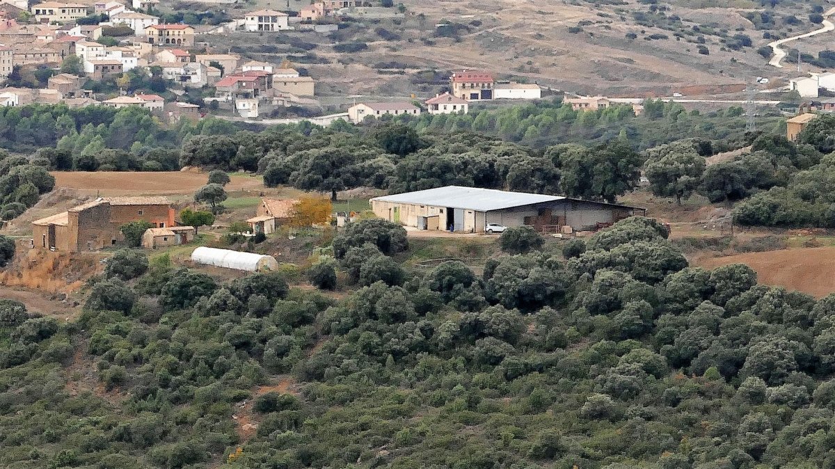 Musker-Iriberri, Leotz