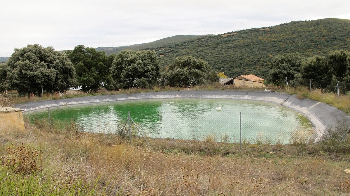 Musker-Iriberri baltsa, Leotz