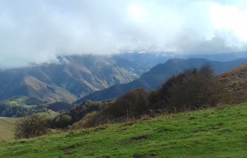 Larraine inguruan, tontorretik