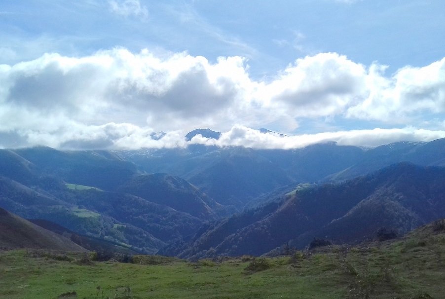 Xardekagaina, Otsogorrigaina, gandorratik