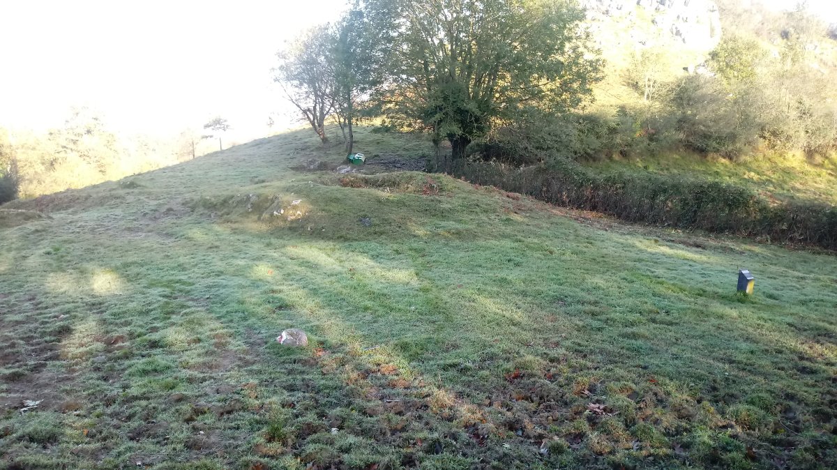 Larrondo trikuharria 4