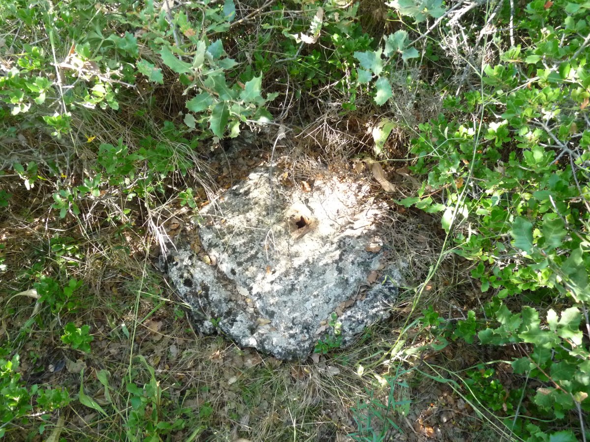 Seinale geodesikoa gaiilurrean