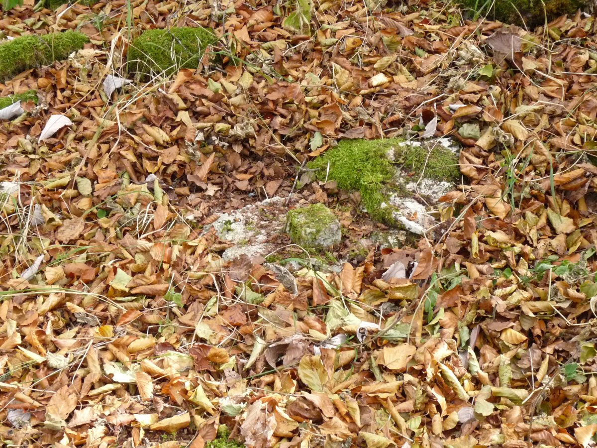 Seinale geodesikoa Arpalatsko gaiilurrean