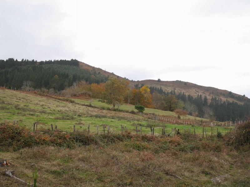 Alen ekialdetik ikusita