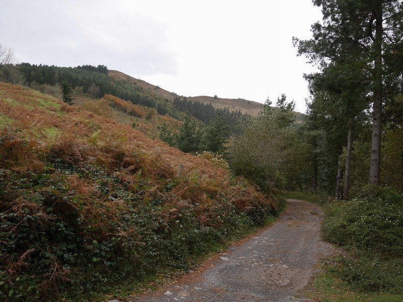 Garai bateko trenbidea