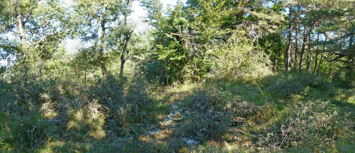 Baltsaundiko gailurra