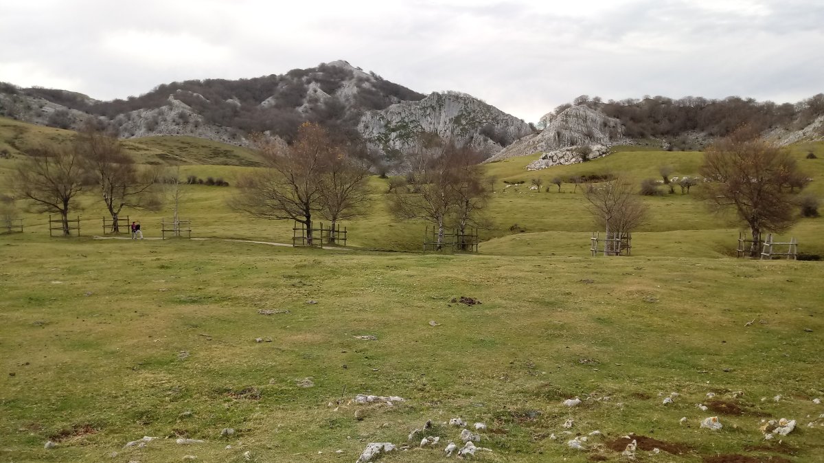 Gorosteta (1259m) Pelotalekutik (1088m)