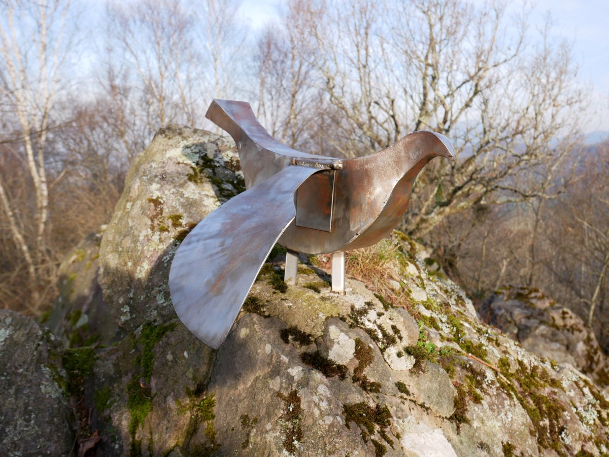 Igoringo txartelontzia