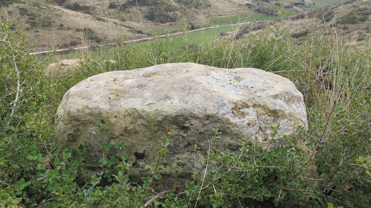 Soplahogueras zutarria, Artaxoa