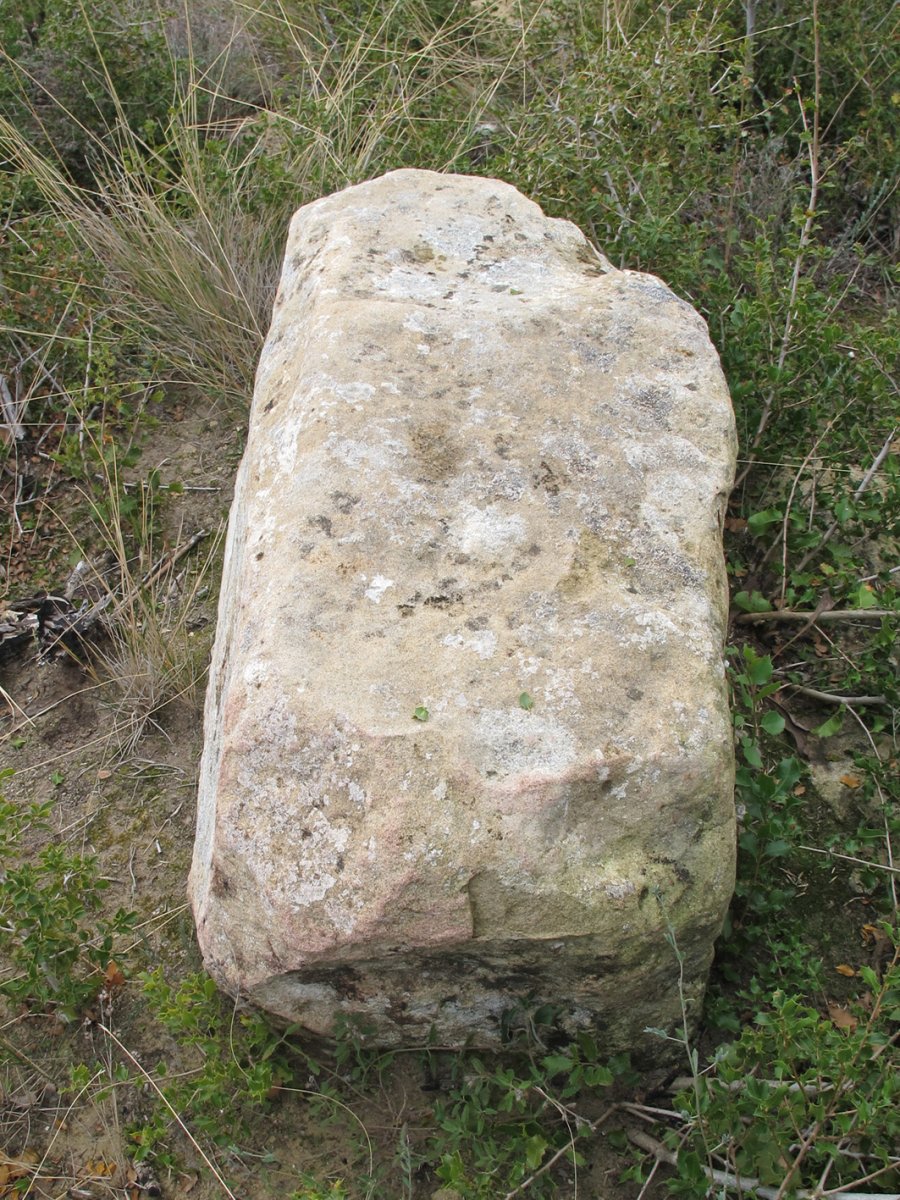 Soplahogueras zutarria, Artaxoa