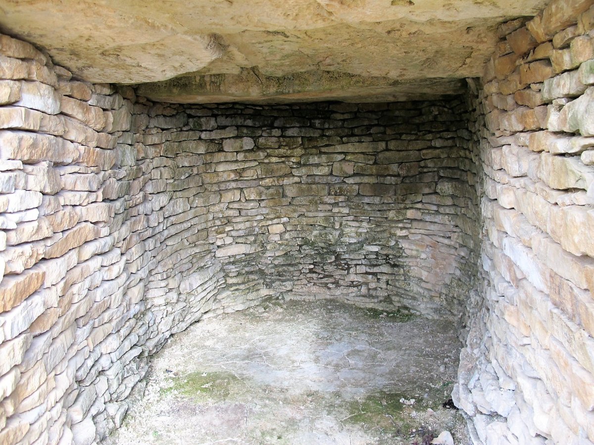 Longar hipogeoa, Viana