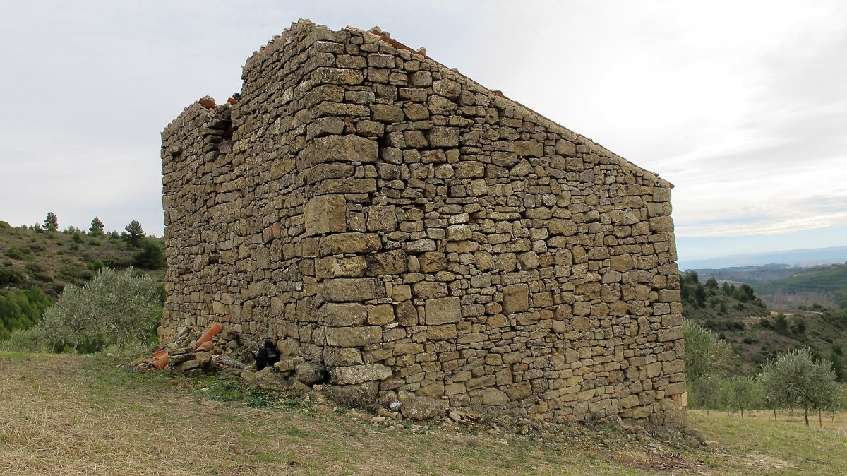 Pisana ermitaren hondakinak, Viana